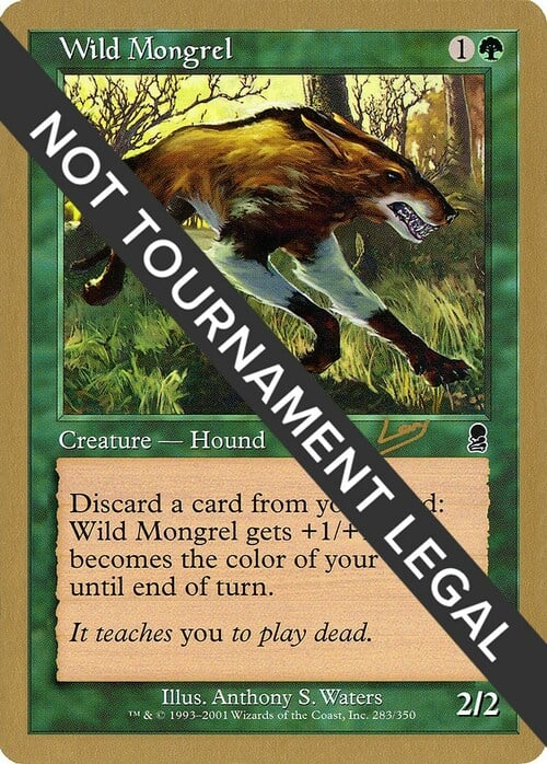 Wild Mongrel Card Front