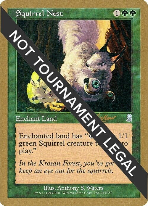 Squirrel Nest Card Front