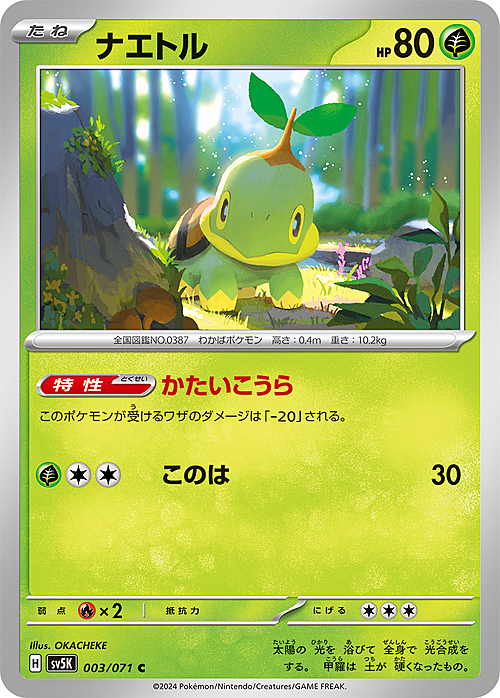 Turtwig Card Front