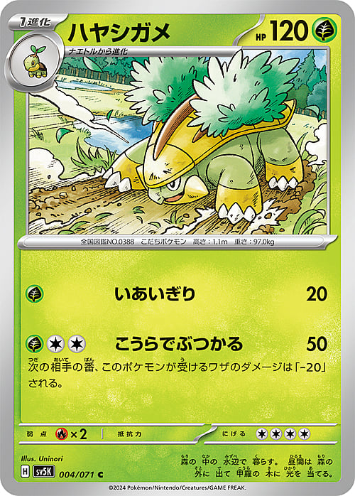 Grotle Lv.23 Card Front