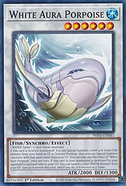 White Aura Porpoise · Common 041
