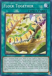 Flock Together · Common 072