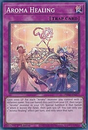Aroma Healing · Common 077