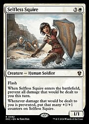 Selfless Squire {