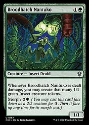 Broodhatch Nantuko 167
