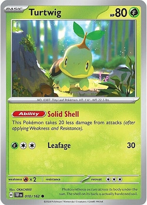 Turtwig Lv.10 Card Front