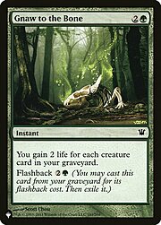 Gnaw to the Bone CT-275810
