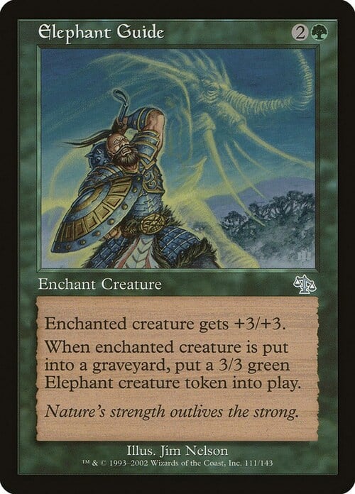 Elephant Guide Card Front