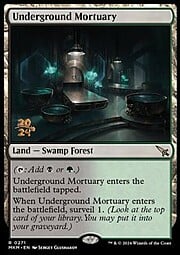 Underground Mortuary 271