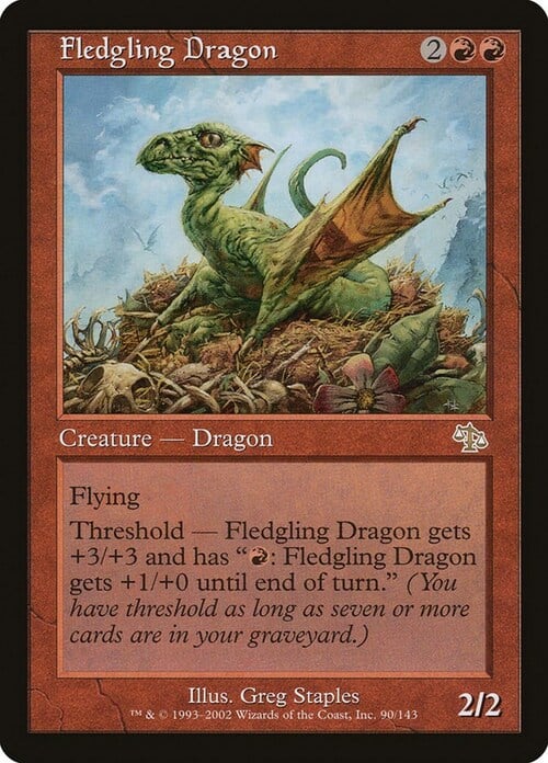 Fledgling Dragon Card Front