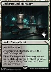 Underground Mortuary 271