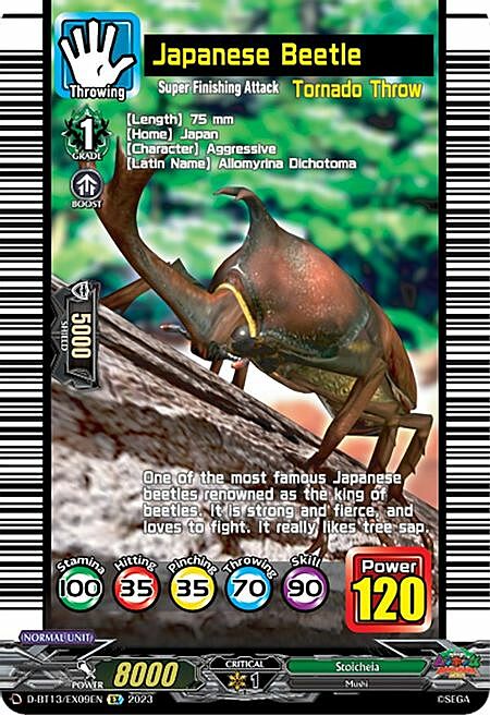 Japanese Beetle Card Front