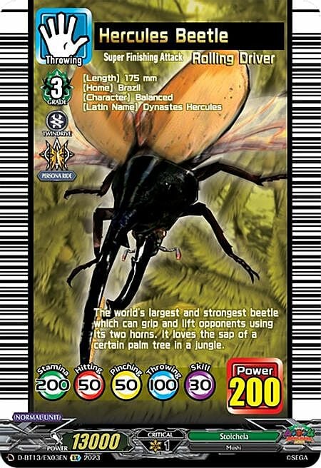 Hercules Beetle Card Front