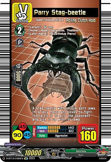 Parry Stag-beetle Card Front