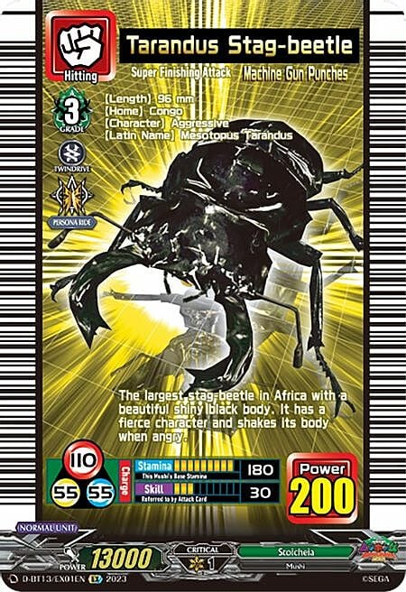 Tarandus Stag-beetle Card Front