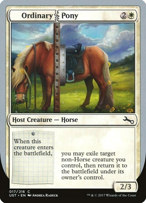 Ordinary Pony Card Front