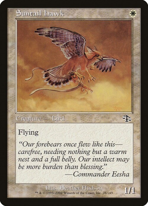 Suntail Hawk Card Front