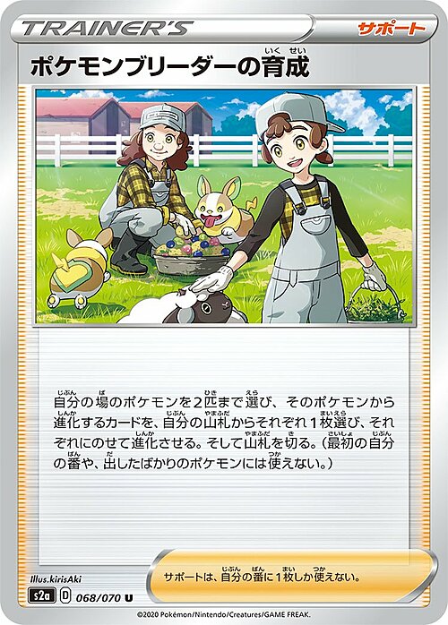 Premura dell'Allevapokémon Card Front