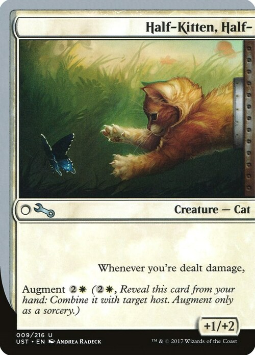 Half-Kitten, Half- Card Front