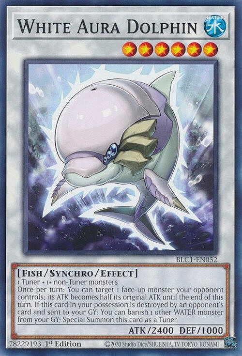 White Aura Dolphin Card Front
