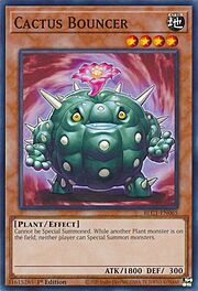 Cactus Bouncer · Common 065