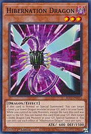 Hibernation Dragon · Common 113