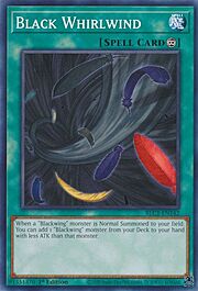 Black Whirlwind · Common 142