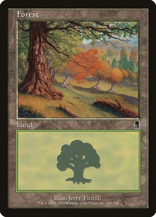 Forest Card Front
