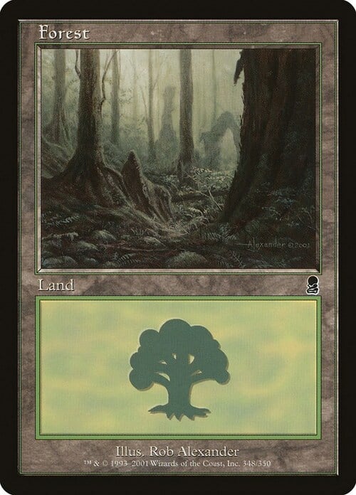 Forest Card Front