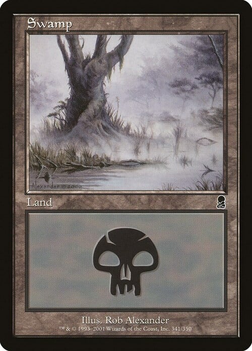 Swamp Card Front