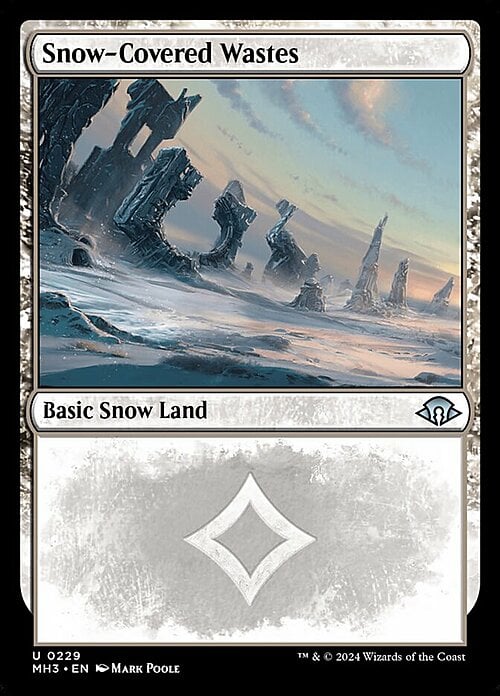 Snow-Covered Wastes Card Front