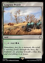 Sungrass Prairie 295