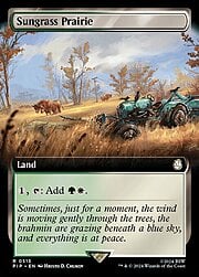 Sungrass Prairie · Extended Art 513