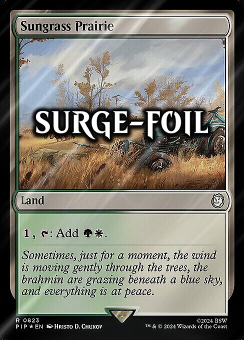 Sungrass Prairie Card Front