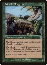Nimble Mongoose 258