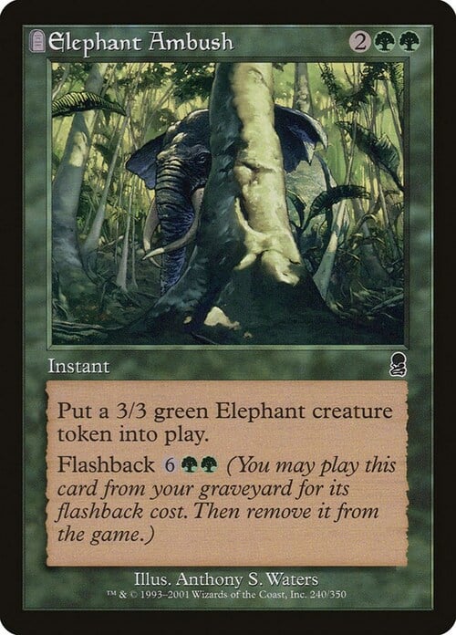 Imboscata dell'Elefante Card Front