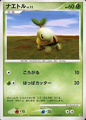 Turtwig Lv.11 Card Front