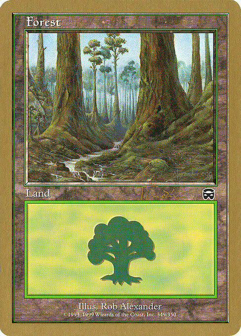 Forest Card Front