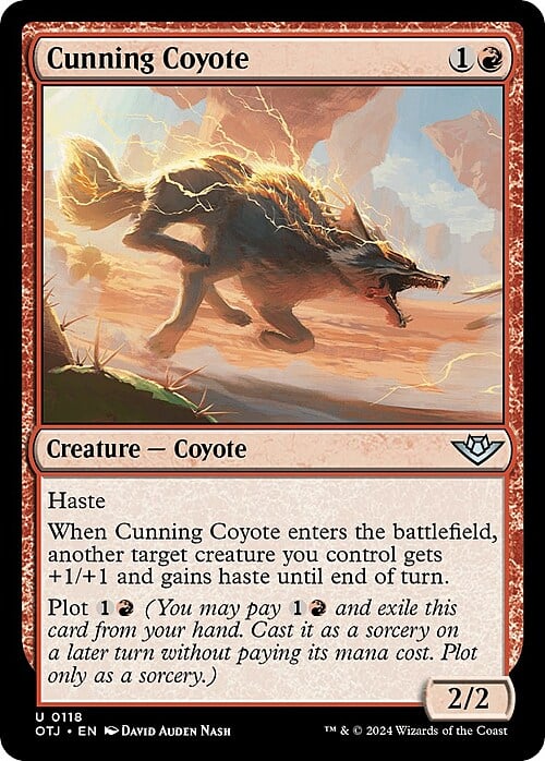 Coyote calculador Frente