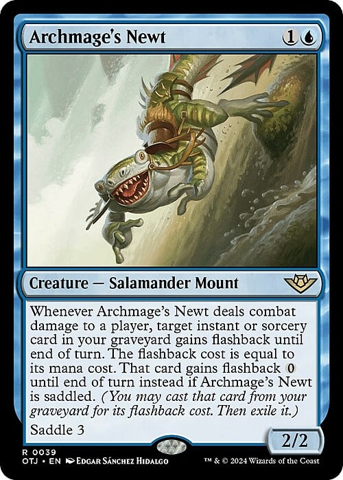 Archmage's Newt Card Front
