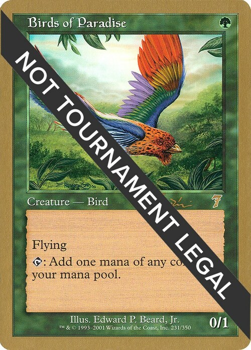 Birds of Paradise Card Front