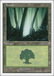 Forest · 330 330