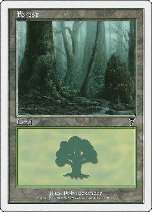 Forest Card Front