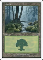 Forest · 328 328