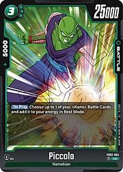 Piccolo FB02-094