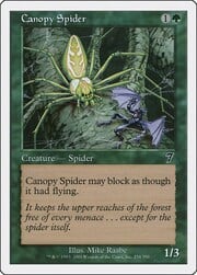 Canopy Spider 234