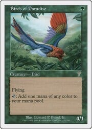Birds of Paradise 231