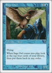 Sage Owl 096