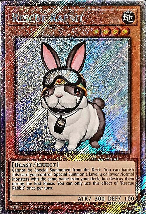 Rescue Rabbit Card Front