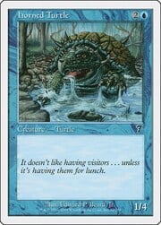 Horned Turtle 080